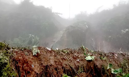 குன்னூர், கோத்தகிரியில் விடிய விடிய கனமழை- 10 இடங்களில் மரங்கள் முறிந்தன