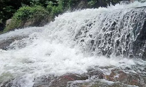 கோவை குற்றால அருவிக்கு சுற்றுலா பயணிகள் செல்ல தடை