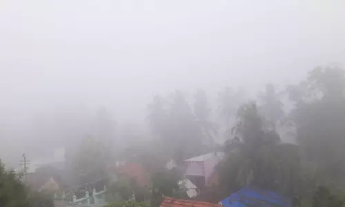 கடலூர் பகுதியில்  கடும் பனிப்பொழிவால் வாகன ஓட்டிகள்-பொதுமக்கள் அவதி