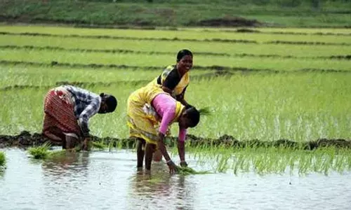 செங்கல்பட்டு மாவட்டத்தில் விவசாயிகள் நலன் காக்கும் நாள் கூட்டம் நாளை நடக்கிறது