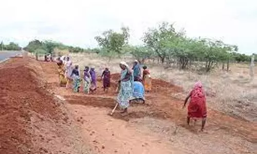 நகரப் பகுதிகளுக்கும் 100 நாள் வேலை திட்டம் விரிவுபடுத்த வலியுறுத்தல்