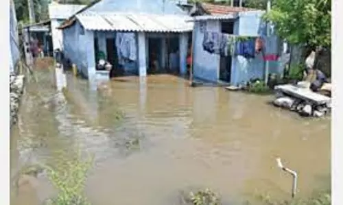 வீடுகளை சூழ்ந்த மழைநீர்