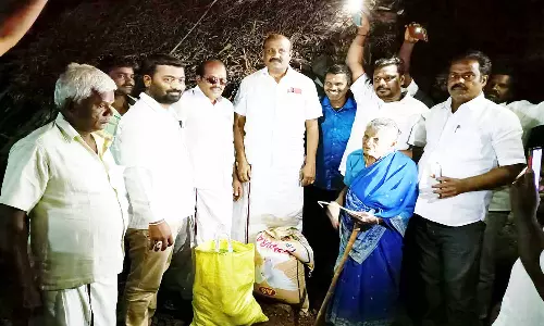 கொட்டகையில் மரம் விழுந்து 10 ஆடுகள் சாவு