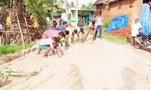 பள்ளி மாணவர்கள் நாற்று நாட்டு போராட்டம்