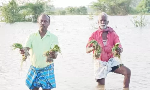 மாண்டஸ் புயலால் சேதமடைந்த விளை நிலங்களுக்கு இழப்பீடு வழங்க வேண்டும்
