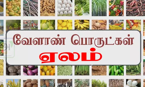 அரசு ஒழுங்கு முறை விற்பனை கூடத்தில் வேளாண் பொருட்கள் ரூ.12.85 லட்சத்துக்கு விற்பனை