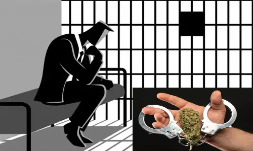 கஞ்சா விற்ற வாலிபர் கைது