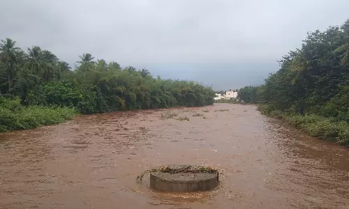 142 அடியை நெருங்கும் பெரியாறு அணை நீர்மட்டம்