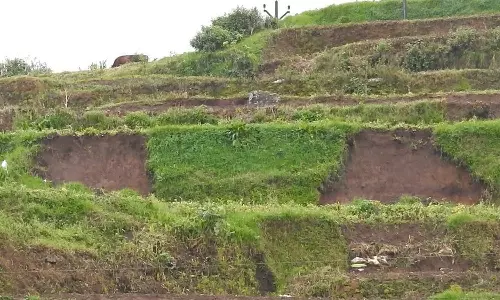 கொடைக்கானலில் தொடர் மழையால் விவசாய நிலங்களில் மண் சரிவு