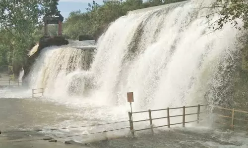 குழித்துறையில் 49.4 மி.மீ. மழை- திற்பரப்பில் சுற்றுலா பயணிகள் ஆனந்த குளியல்