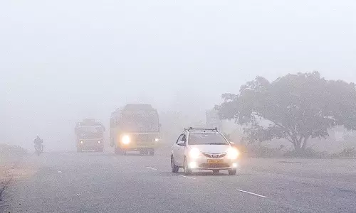 திருத்தணியில் கடும் பனிமூட்டம்