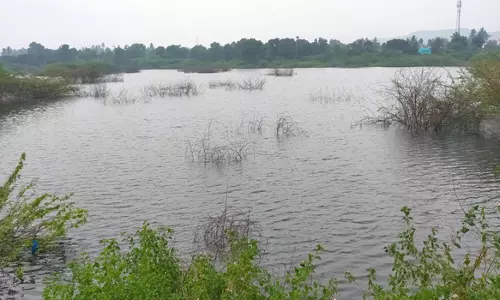 நடப்பாண்டில் வாழப்பாடி பாப்பான் ஏரி நிரம்புமா?-விவசாயிகள் எதிர்பார்ப்பு