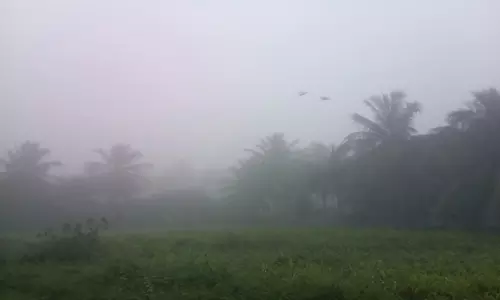 பரமத்தி வேலூர் பகுதியில் திடீர் பனி மூட்டம்