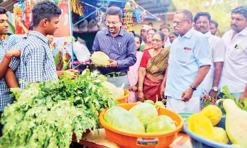 வல்லம் பேரூராட்சியில் இயற்கை உரம் மரக்கன்றுகள் விற்பனை மையம்