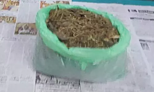 பிரபல கஞ்சா வியாபாரி கைது