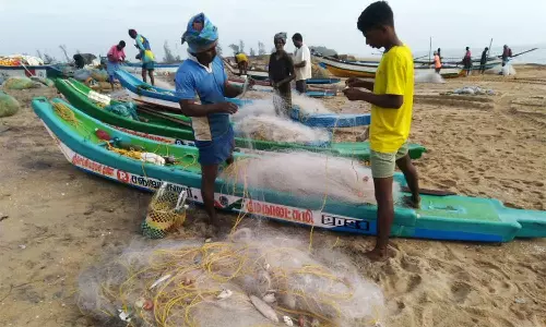 மாண்டஸ் புயல், கடல் சீற்றத்தால் தொலைதூரம் சென்ற கடல் மீன்கள்: மீன்பிடி தொழில் பாதிப்பு