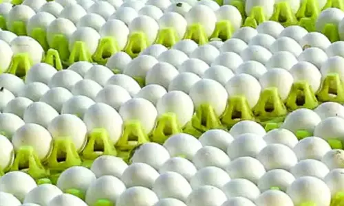 மலேசியாவில் முட்டை தட்டுப்பாடு எதிரொலி-  நாமக்கல்லில் இருந்து முதல் முறையாக ஏற்றுமதி