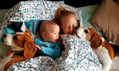 குழந்தைகளுடன் பாசமாக பழகும் நாய் இனங்கள்..