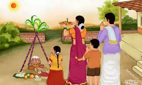 பொங்கல் திருவிழா -  ஜனவரி மாதம் 3 நாட்கள் நடக்கிறது