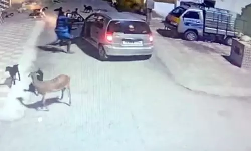 ஆடு திருடும் கும்பல் மீது வழக்குப்பதிய மறுப்பு