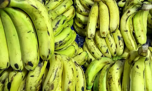 பச்சை வாழைப்பழமும், ஆரோக்கிய நன்மைகளும்...