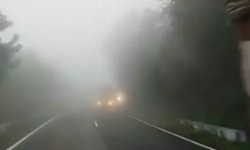 குளித்தலை பகுதியில் கடும் பனிமூட்டம்