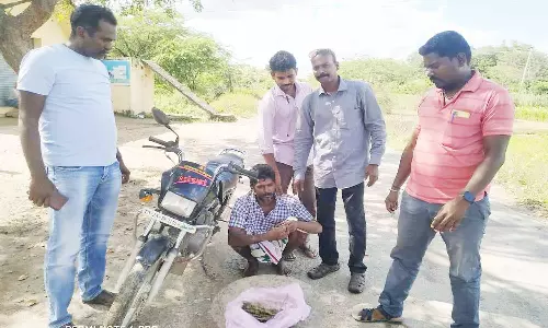 கஞ்சா விற்ற வாலிபர் கைது