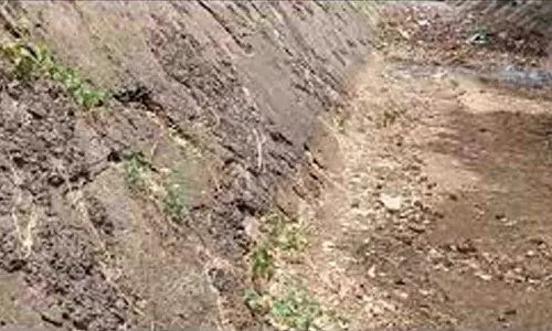 பி.ஏ.பி., கால்வாயில் பராமரிப்பு பணிகள் தீவிரம்