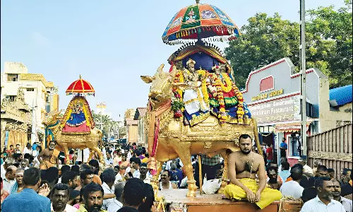 தங்க ரிஷப வாகனத்தில் சுவாமி-அம்பாள் திருவீதி உலா: பக்தர்கள் தரிசனம்