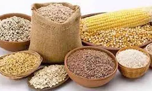 சிறு தானிய சாகுபடி குறித்து  விழிப்புணர்வு பிரச்சாரம்