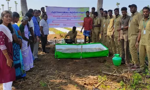 அசோலா தீவன உற்பத்தி குறித்து விவசாயிகளுக்கு செயல் விளக்கம்