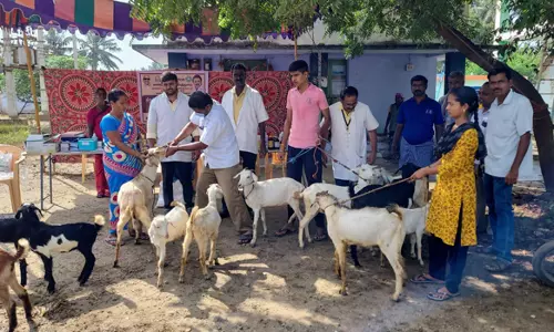 அய்யம்பாளையத்தில் கால்நடை சிகிச்சை முகாம்