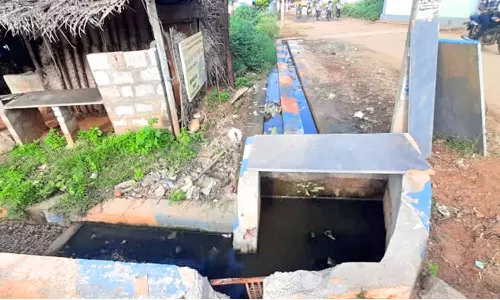 ஆலங்குளம் அருகே கழிவுநீரோடை தேக்கத்தால் சுகாதார சீர்கேடு- நடவடிக்கை எடுக்க பொதுமக்கள் கோரிக்கை