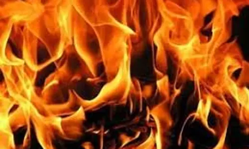 தீக்குளித்த விவசாயி சாவு