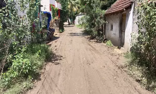 பெரியபாபுசமுத்திரம் - வனத்தாம்பாளையம் இடையே சேறும் சகதியுமான  சாலையை சீரமைக்க வேண்டும்: பொதுமக்கள் கோரிக்கை