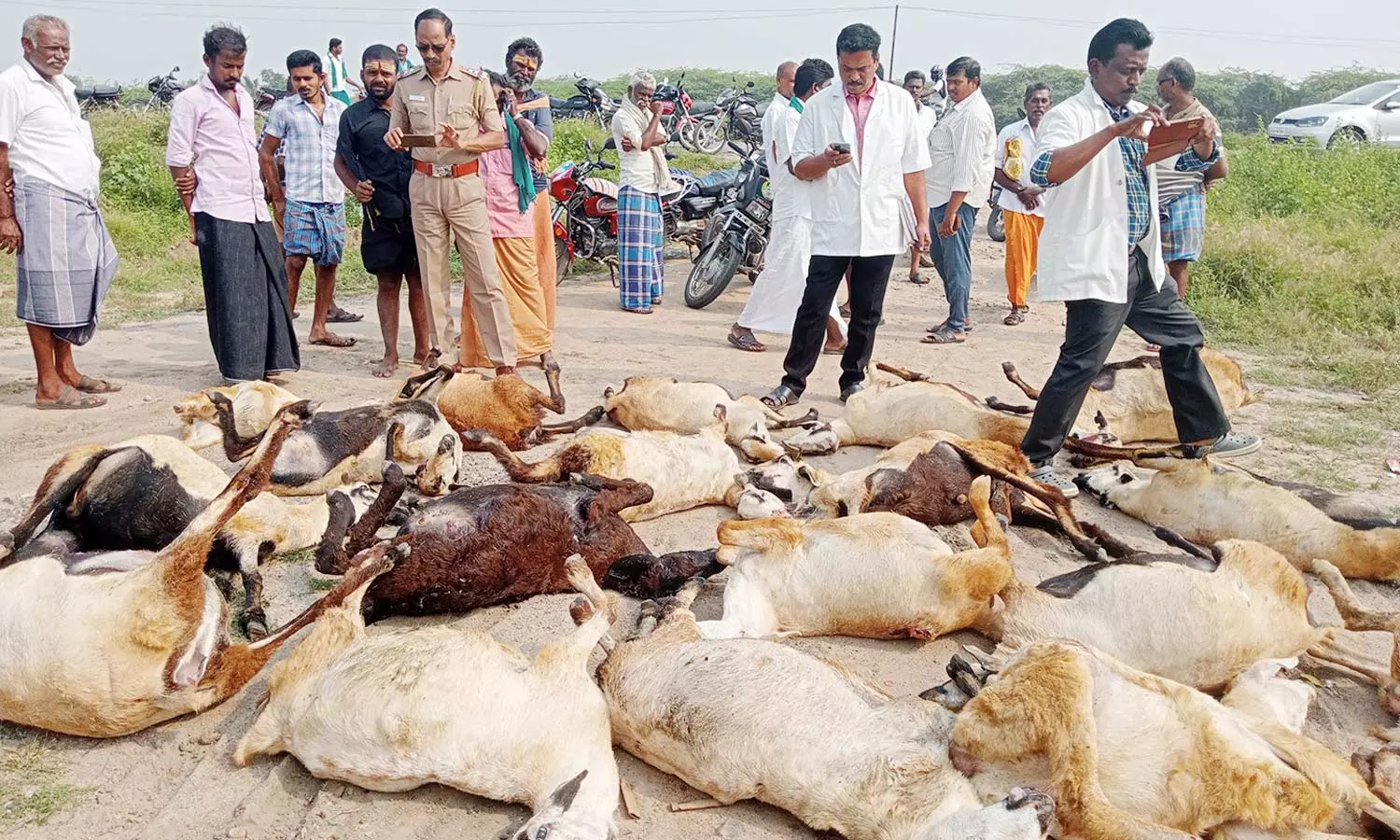 சாத்தூர் அருகே கார் மோதி 21 ஆடுகள் பலி