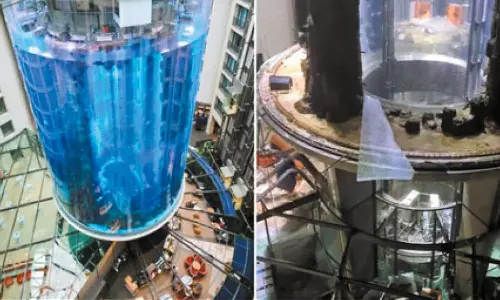 உலகின் மிகப்பெரிய மீன் தொட்டி வெடித்து சிதறியது- அரிய வகை மீன்கள் துடிதுடித்து செத்தன