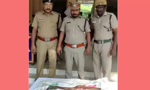 ஈரோட்டில் அட்டை பெட்டியில் கடத்திய 4 அடி நீள மண்ணுளி பாம்பு