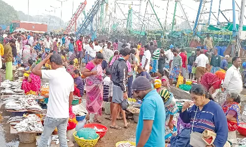 கடலூர் துறைமுகத்தில்  போட்டி போட்டு மீன்கள் வாங்கி சென்ற மக்கள்