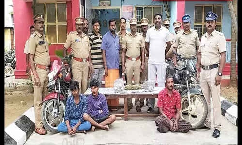 சங்கராபுரம் அருகே கஞ்சா கடத்திய 3 பேர் கைது