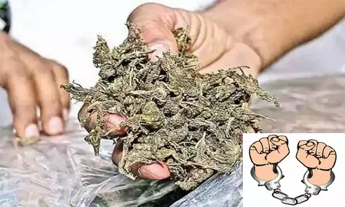 கஞ்சா விற்ற அண்ணன்-தம்பி கைது