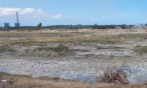 தருவைகுளம் நிரம்புவதற்கு 8 கிலோ மீட்டர் தூரம் கால்வாயை சீரமைக்க வேண்டும்- விவசாய கூட்டமைப்பு கோரிக்கை