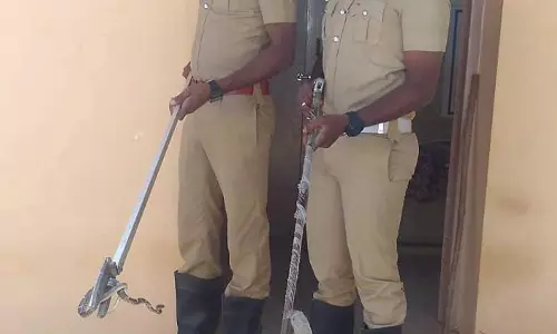 ஸ்கேன் மையத்துக்குள் புகுந்த கட்டுவிரியன் பாம்புகள்