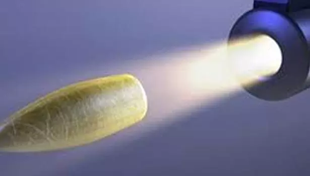 கனடாவில் மர்மநபர் துப்பாக்கி சூடு- 5 பேர் பலி