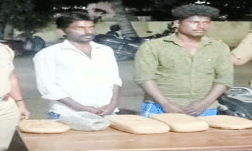 தேவாரம் அருகே 7 கிலோ கஞ்சாவுடன் 2 பேர் கைது