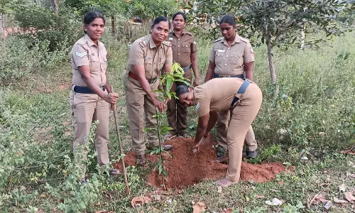 காவல் நிலையத்தில் மரக்கன்று நடும் விழா