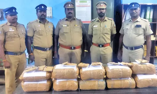 அம்பை சோதனையில் 21 கிலோ பறிமுதல்: சென்னையில் இருந்து கஞ்சா கடத்தி வந்த மேலும் 3 பேருக்கு வலைவீச்சு