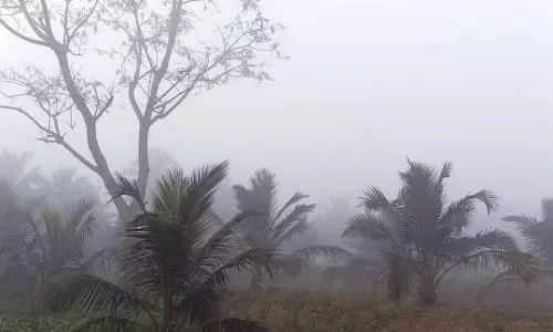 பகலில் வெயில், இரவில் குளிரால் பொதுமக்கள் கடும் அவதி