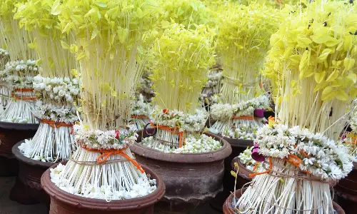 செட்டிவிளை முத்தாரம்மன் கோவில் மார்கழி கொடை விழா நாளை தொடங்குகிறது