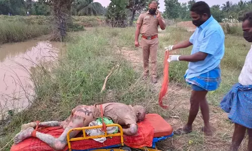 குறிஞ்சிப்பாடி அருகே ஏரியில் அழுகிய நிலையில் அடையாளம் தெரியாத ஆண் பிணம்